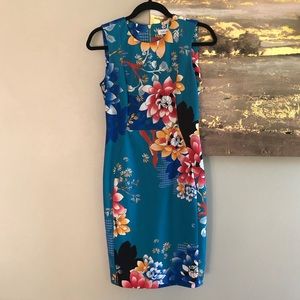 NWOT Calvin Klein Sleeveless Princess Seam Sheath